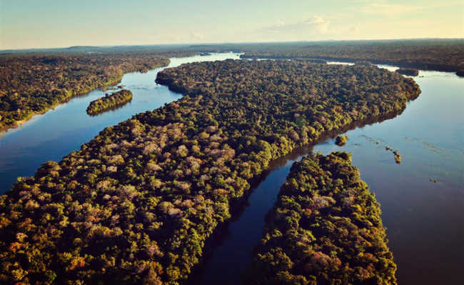 amazonia