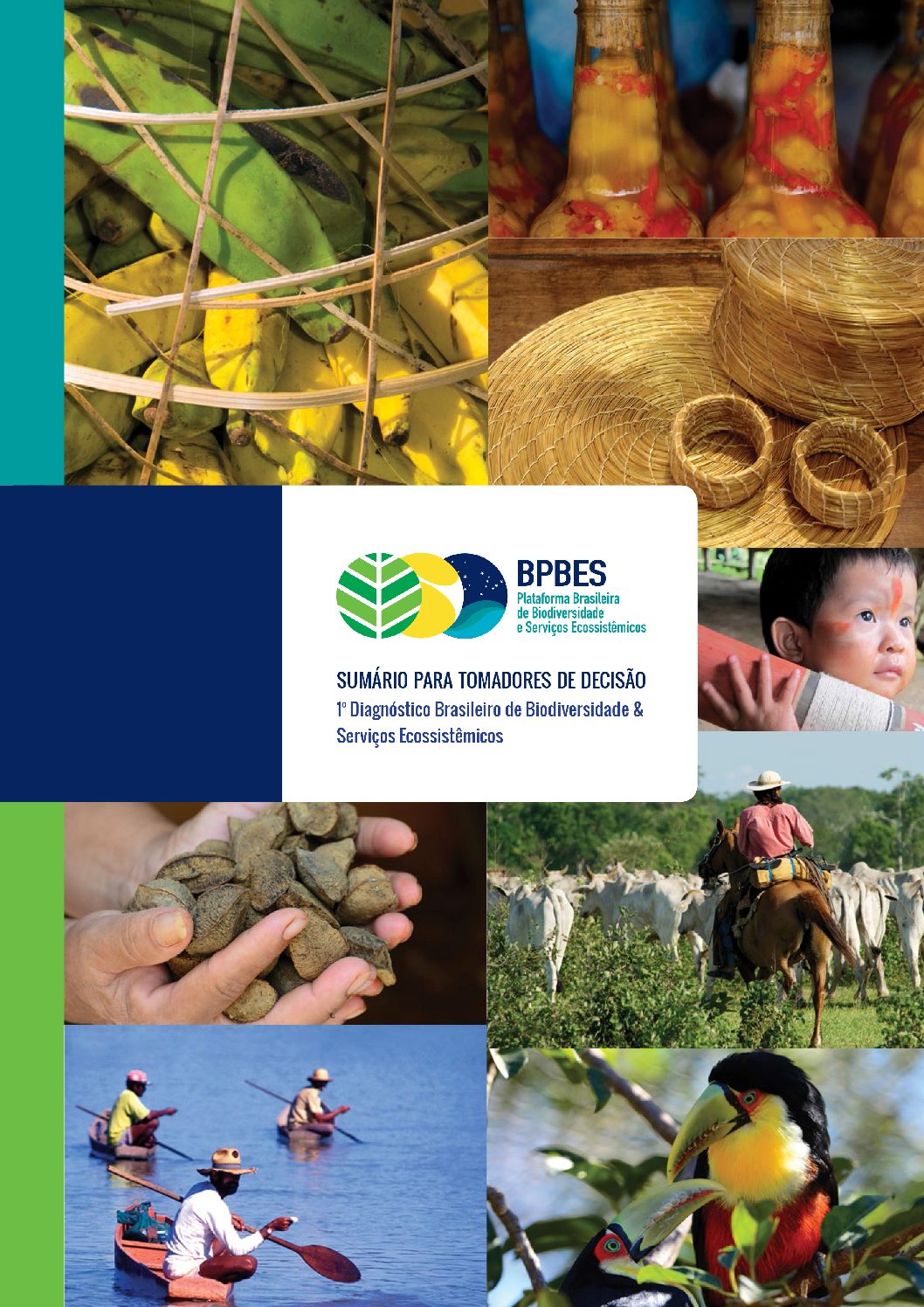 capa_Sumario-para-Tomadores-de-Decisao-BPBES-1