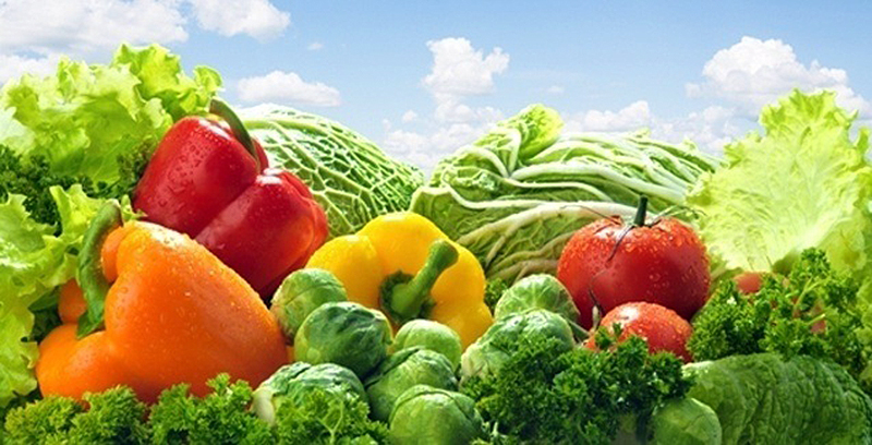 frutas e hortalicas