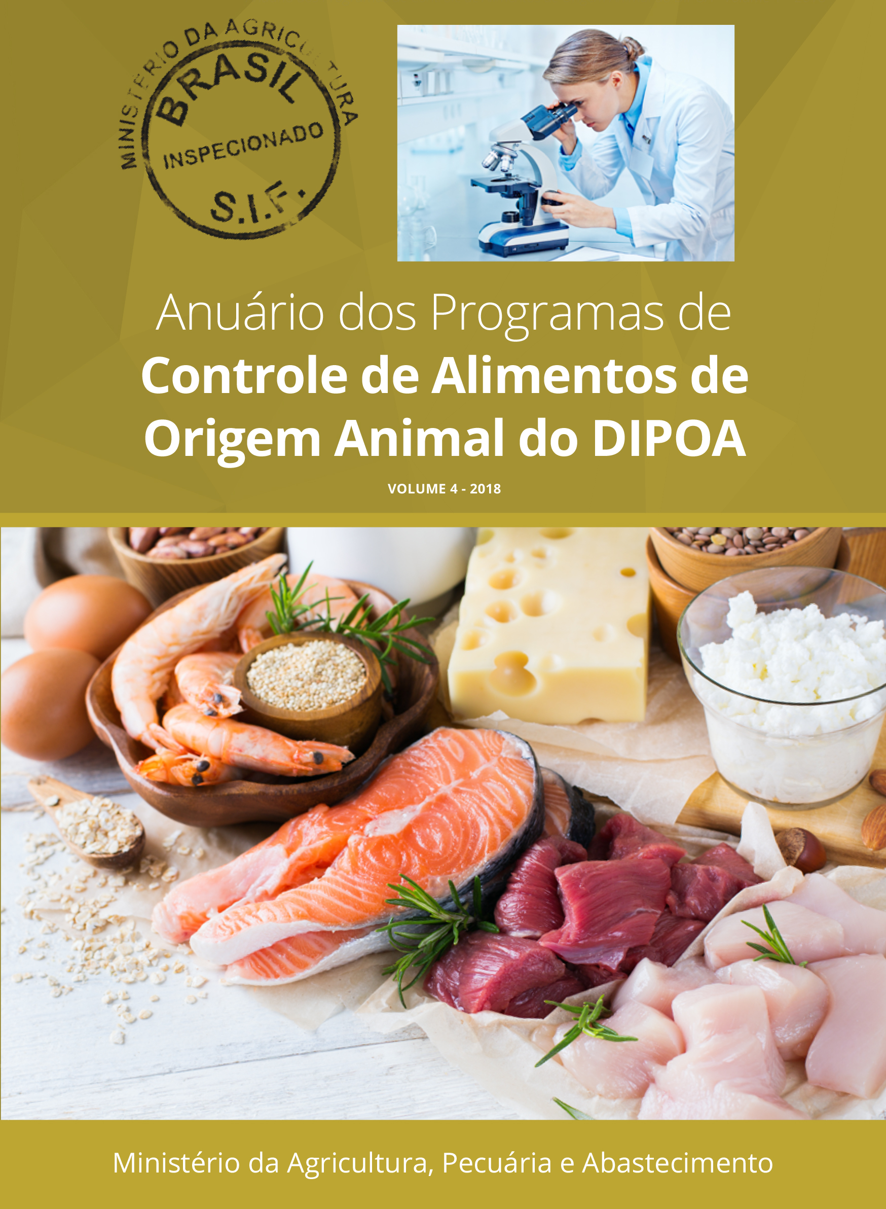 capa relatorio mapa