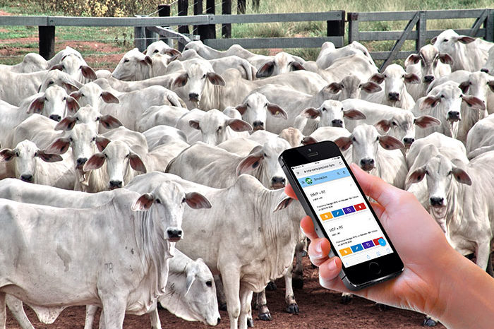 app Cria Certo_divulgacao Embrapa