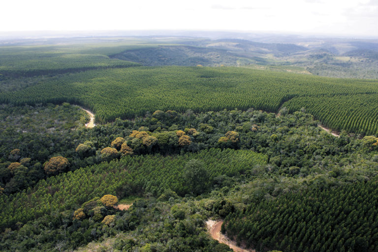 Mosaic landscape by Gleison Rezende (1) (1)