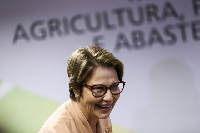ministra Tereza Cristina