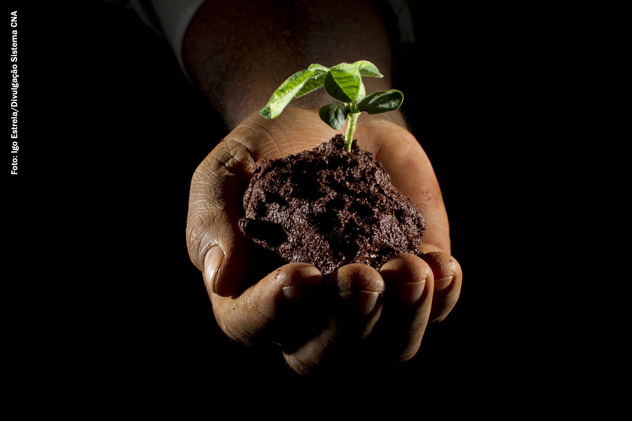 agricultura geral_Foto Igo Estrela_Divulgacao Sistema CNA
