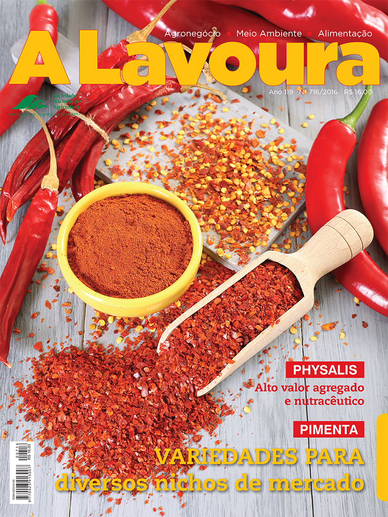 Capa716_GRAFICA.indd