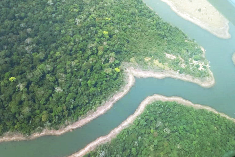 2_Floresta do Jamari_RO_Divulgacao Mapa