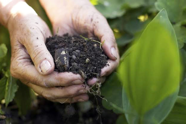 biofertilizante_Foto Divulgacao Thinkstock