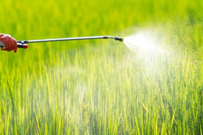 defensivos agricolas_foto divulgacao