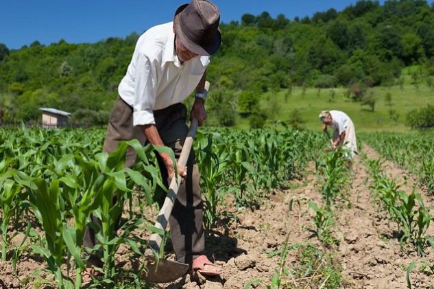 agricultores_foto Divulgacao Contag