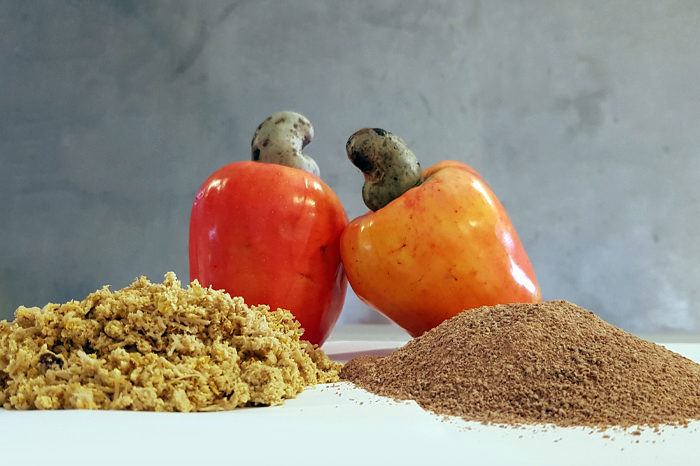 caju_Foto Ana Elisa Sidrim