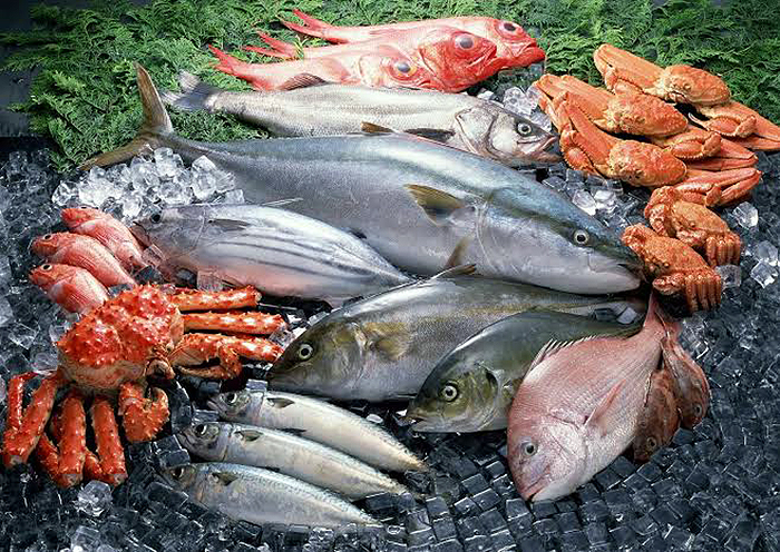 pescado em geral