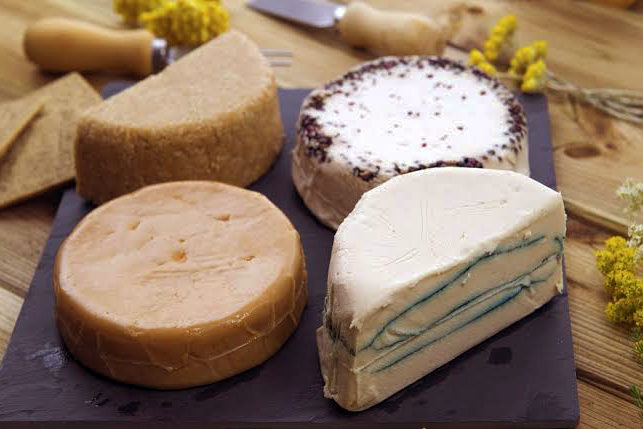 queijos veganos_foto divulgacao