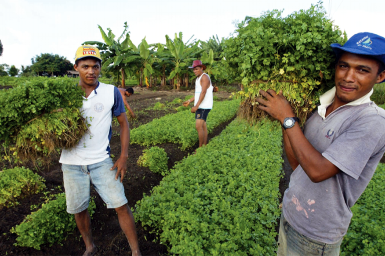 agricultura familiar2