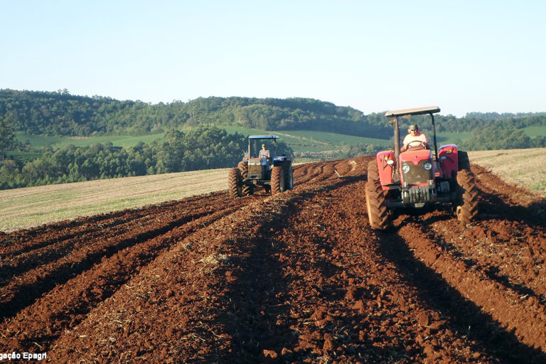 terraceamento3_Foto Divulgacao Epagri