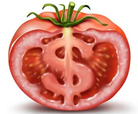 tomate1