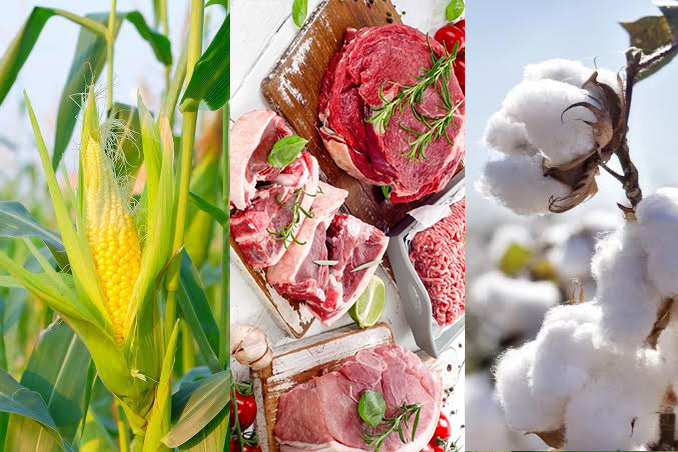 Milho, carnes e algodao_Imagens Divulgacao