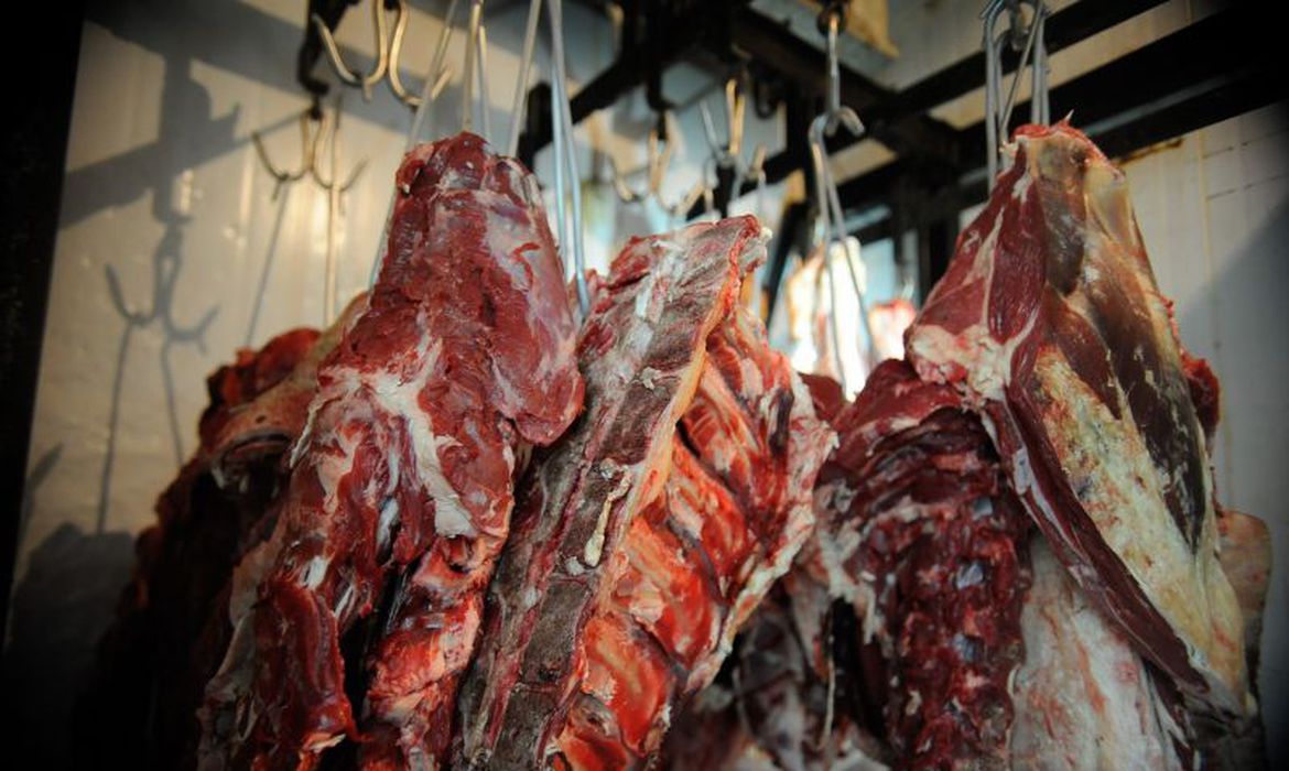 carne bovina in natura_Foto Tania Rego_Arquivo Ag. Brasil