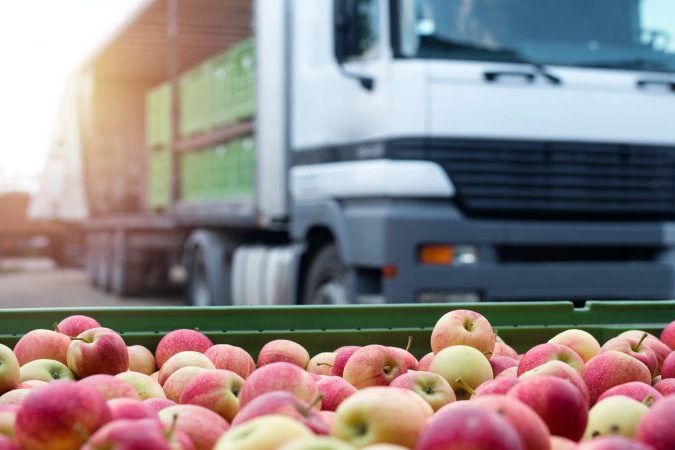 303793-5-cuidados-importantes-ao-fazer-o-transporte-de-alimentos-780×450