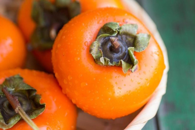 caqui-1579202902456_v2_1254x836