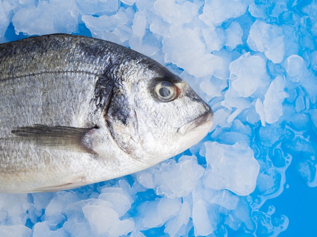 Aprende a identificar un pescado fresco – A Comer Pescado