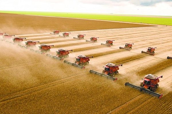 portal15safragraos-1140×570