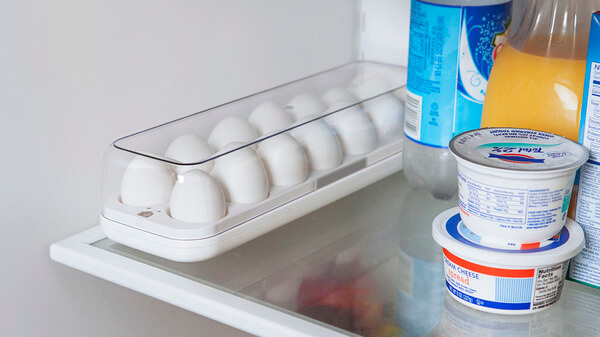 Nada de guardar ovos na porta da geladeira. Confira o jeito certo - A Lavoura