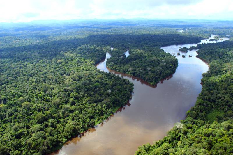 Floresta-Amazonica-Credito-Ascom Ideflor-Bio-Fotos-Publicas