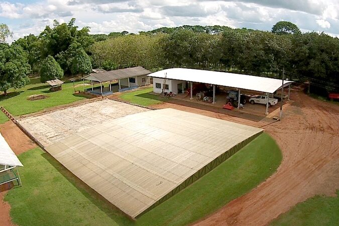 0-Barcaca Seca Cafe-Rafael Rocha-Embrapa Rondonia