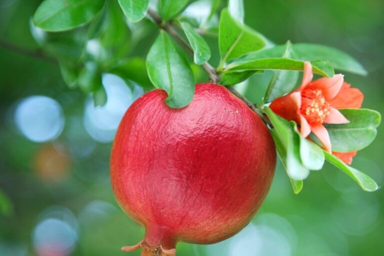 0-shutterstock_63139900