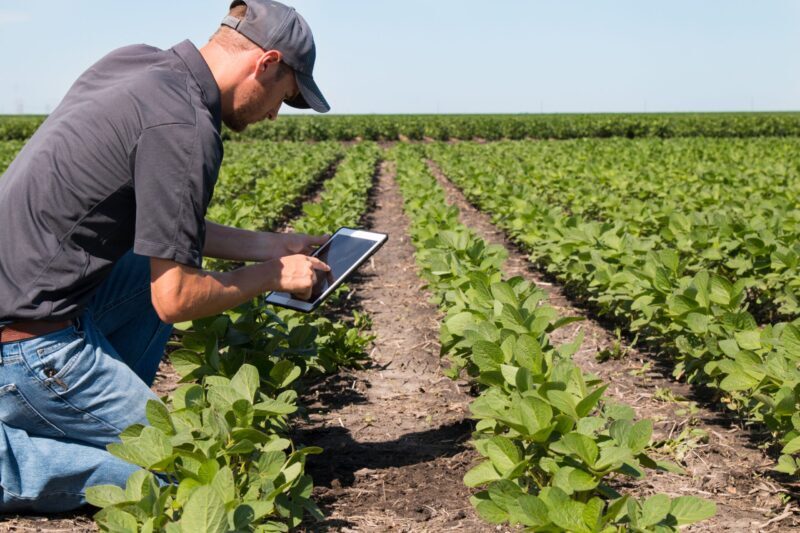 AIO  Um Agricultor Buscando O Aumento Da Produtividade De