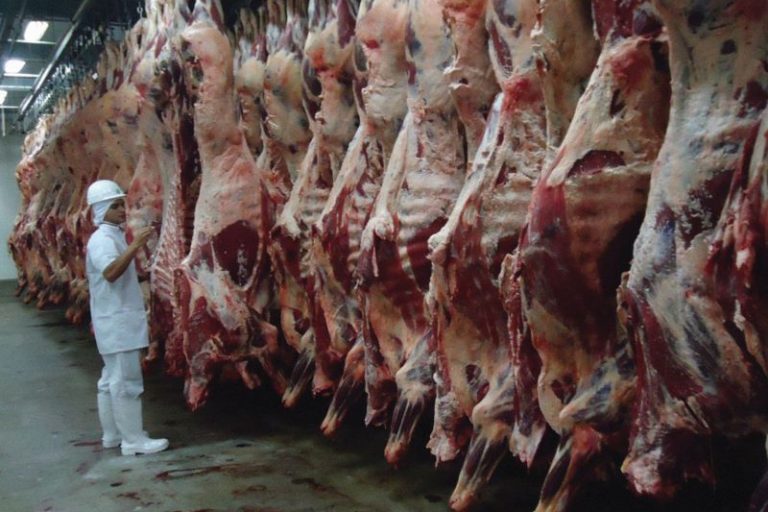 Carne-Credito Divulgacao