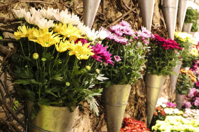 cred-juliana-lazarini-16