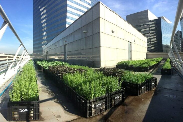 0 – FOTO ABRE – plant2 – Copia