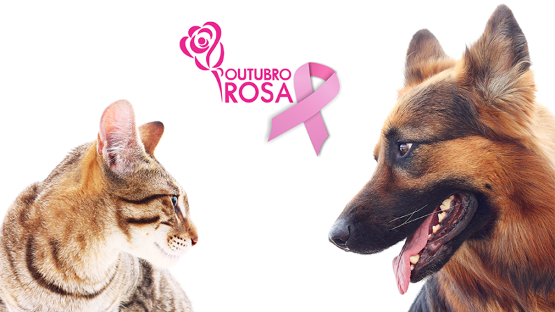 outubrorosa-1