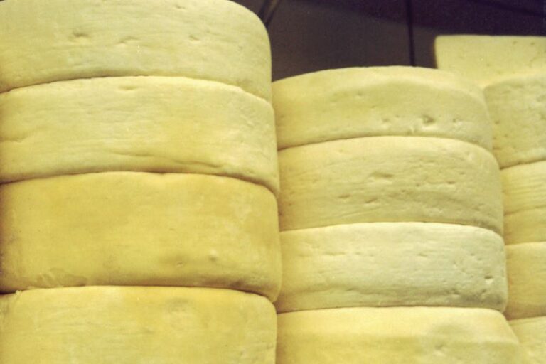 Queijo Artesanal-Arq IMA