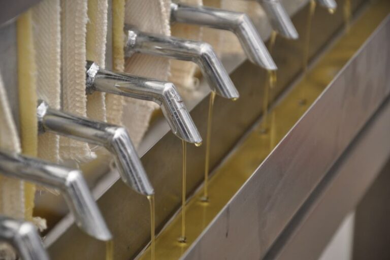 Foto Embrapa Agroind