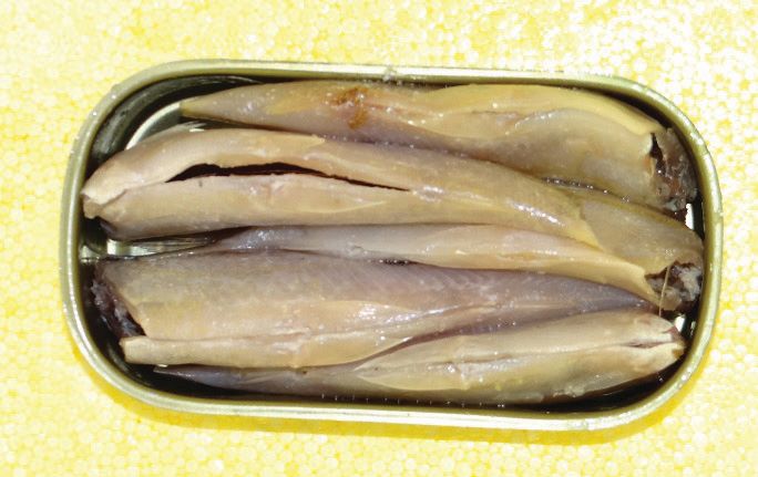Quelles espèces de poissons peuvent remplacer les sardines ? - La ferme