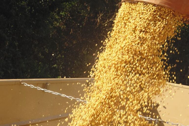 Colheita soja-Jose Schafer-Emater Rs Ascar