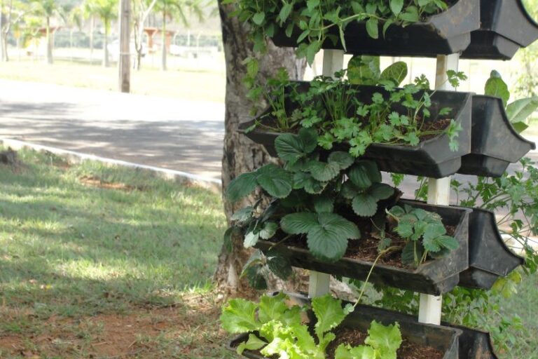 Horta p peq espacos-Amanda Costa-Embrapa Hortalicas