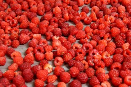 Franboesas – DSC03076