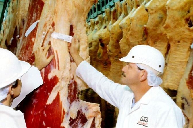 Carne bovina frigorifico
