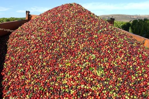 Faz S Gotardo-illycaffe