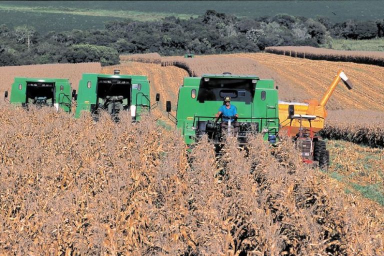 Colheita-Conselho Infor s Biotecnologia (CIB)