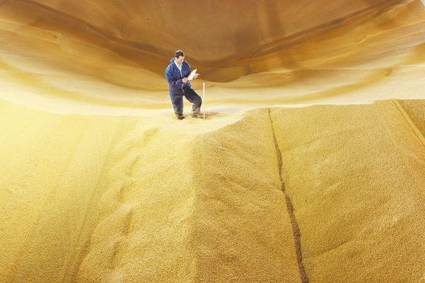 Graos armazenados-The Jeffrey Group