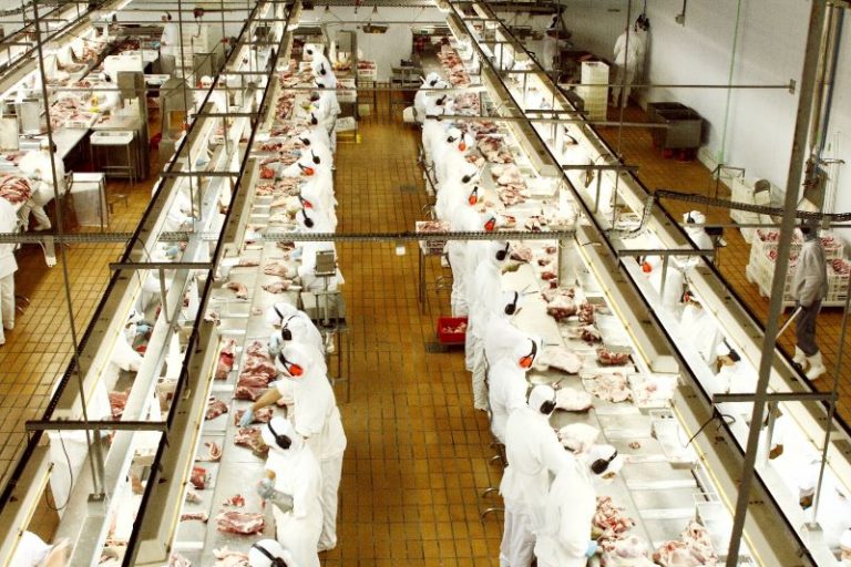 Ind carne suina-Alexandre Marchetti-ABIPECS