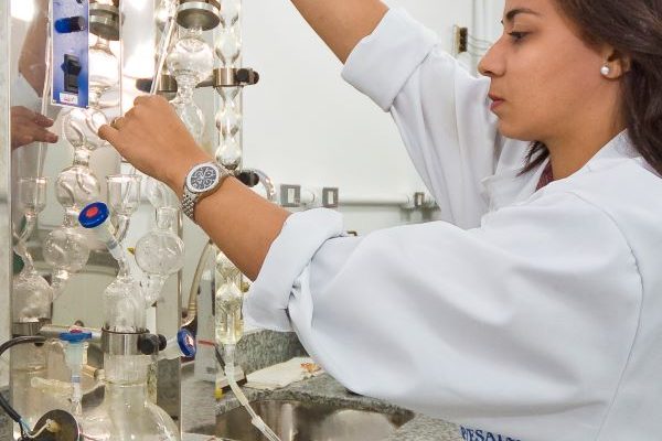 Pesquisa Propolis Verde-Roberto Amaral-USP-ESALQ