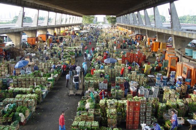 Setor Verduras-CEAGESP-