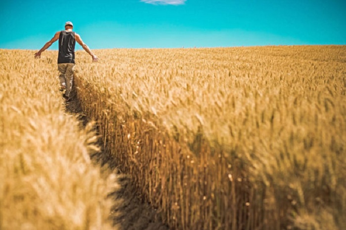 agricultor-1-600×400