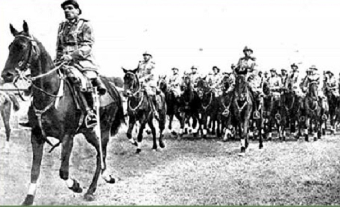 Cavalos: criação movimenta o agronegócio brasileiro