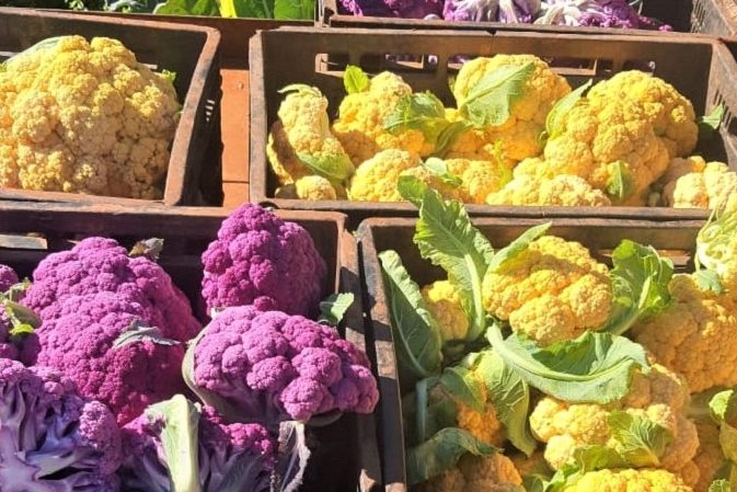 1 – couve-flor colorida